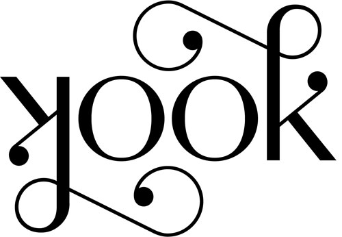 LookLook logo